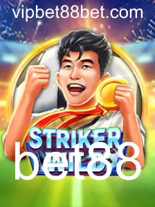 StrikerWILD: Explorando a Emoção e Estratégia do Jogo